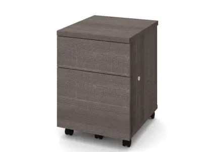 Amelia-Brooke Drawer Mobile Vertical Filing Cabinet Free 3D model