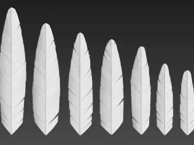 Feather seven different sizes 3D model