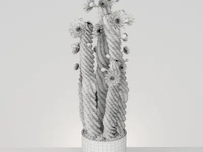 Plant 5 two cactus plants with flowers 3D model