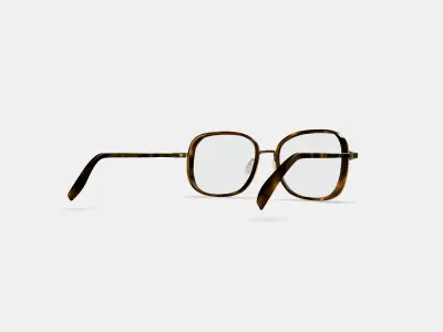 Fernanda Eyeglasses in Cognac Tortoise with Polished Gold 3D model