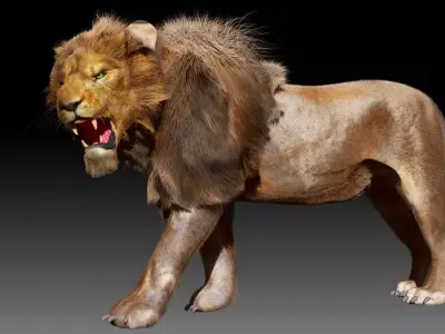 Lion animal 3D model