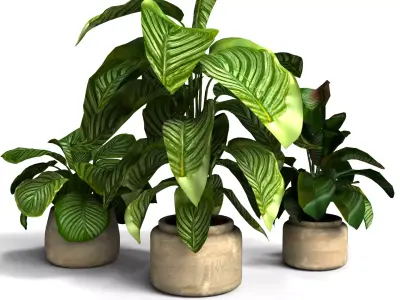 Decorative Flower Vase with Flowers Interior Decor 3D Model 3D model