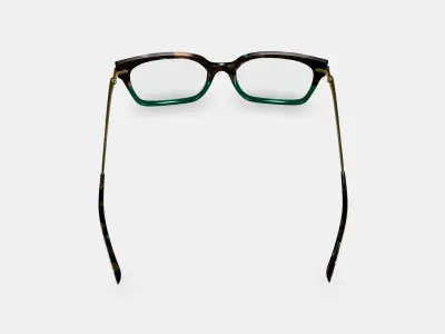 Vela Eyeglasses in Aventurine Tortoise with Polished Gold 3D model