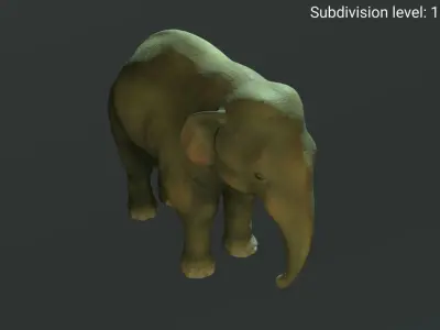 Young  asian elephant Low-poly 3D model