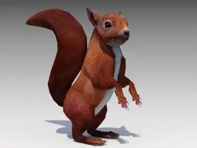 Squirrel Low-poly 3D model 3