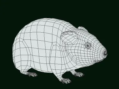 American Pika Rodent Low-poly 3D model