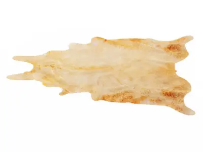 Nine Rugs From Animal Skins 09 3D model