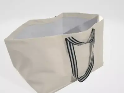 3d bag for interior scene 3D model