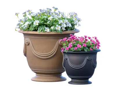 Flowerbed Petunia flowers plant  Luxury garden pots  3D model