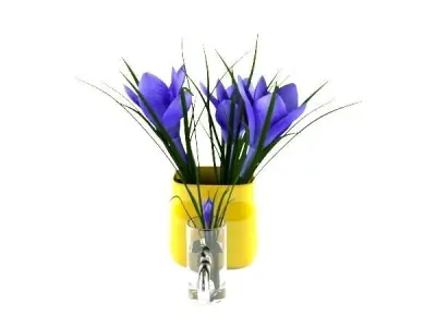 Crocus in vase 3D model