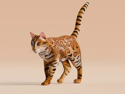 Low poly - Stylized cats - Bengal Cat Low-poly 3D model