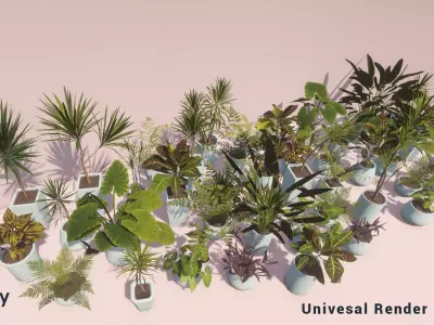 Indoor Plants Unity Asset Low-poly 3D model