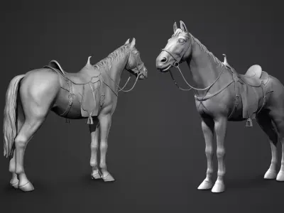 horse 3D model 22