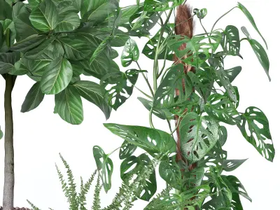 Plants collection 127 3D model