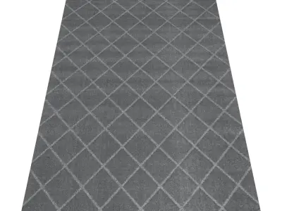 Rug Set 1703 3D model
