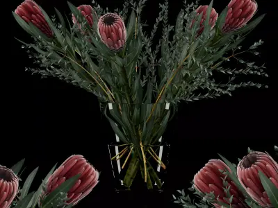 Protea with Eucalyptus parvifolia 3D model