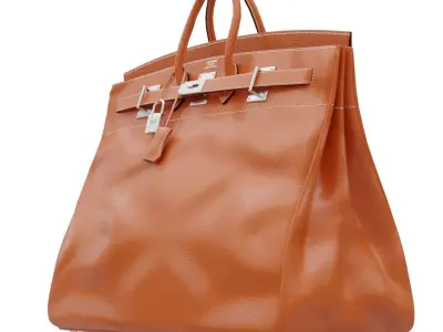 Birkin 55 HAC Bag Low-poly 3D model