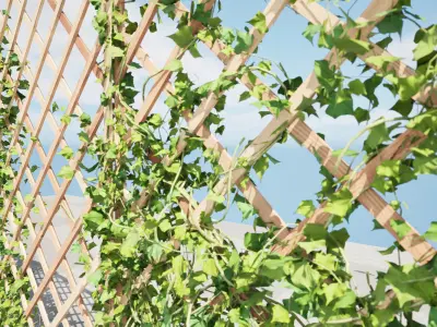 Wood Mesh Wall with Ivy Climber Low-poly 3D model