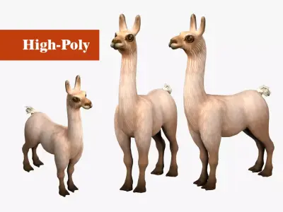 alpaca with rig  high-poly textured 3D model