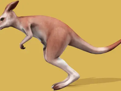 KANGAROO RIGGED ANIMATED 3 Low-poly 3D model