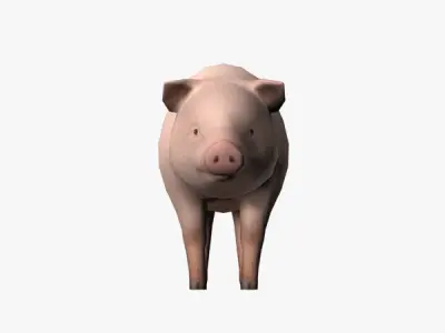 Pig Model Low-poly 3D model