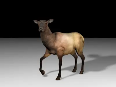 Rigged Elk Doe Low-poly 3D model