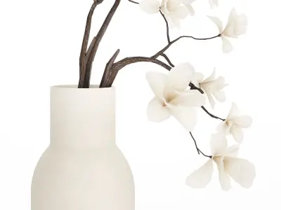 Bouquet Flowers Branches Of Blooming  Magnolia 530 3D model