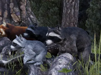 Realistic Raccoon and Red Panda 3D model