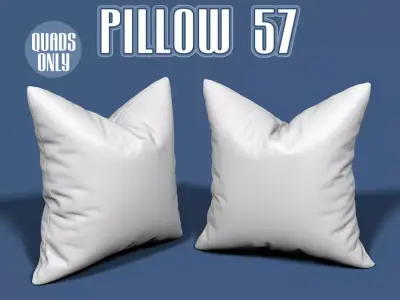 Pillow 57 3D model