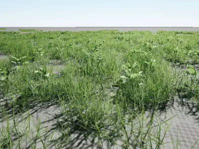 Tropical bush asset pack - unreal engine 3D model