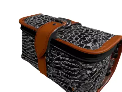 Scaled Metal Leather Pouch Case Low-poly 3D model