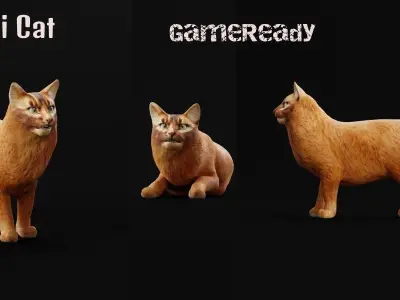 Long-haired Abyssinian Cat 3D model