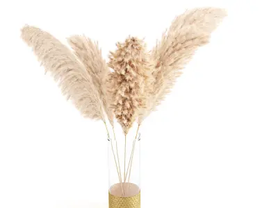 bouquet of pampas vol01 3D model