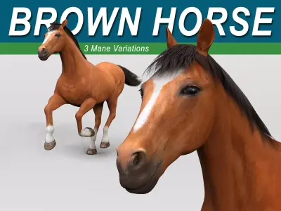 Horse - Brown 3D model