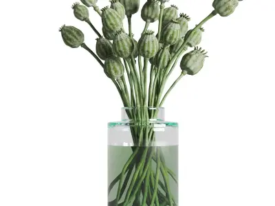 Green Poppy Heads In Glass Vase 3D model