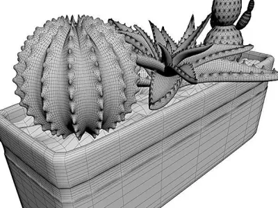  Small pot of cacti Free 3D model