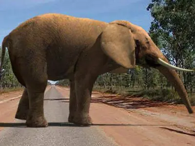 SUPERB LOW-POLY ELEPHANT - 3d model Low-poly 3D model