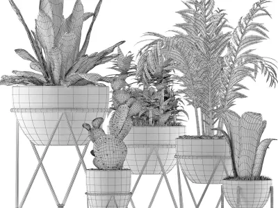 Plants Collection 27 3D model