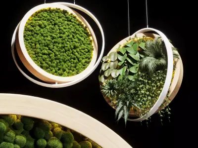 hanging garden and hanging moss in wooden frame 218 3D model