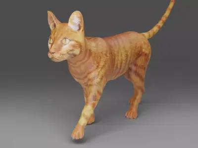 Cat Yellow V3 Rigged and Animated Low-poly 3D model