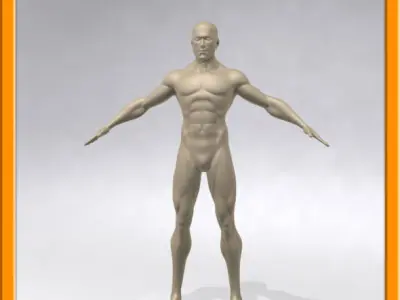 REALISTIC Male muscle set - 02 Low-poly 3D model