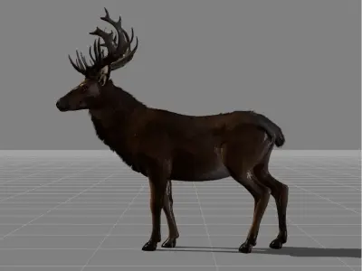 red deer v1 Low-poly 3D model
