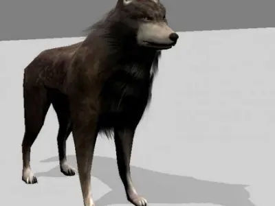 Wolf Rigged Low-poly and Game-Ready  Low-poly 3D model