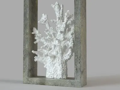 Finger Coral Shadowbox 3D model