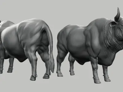 Bull model 3D model