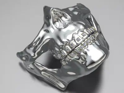 skull mask 3d model Free 3D print model