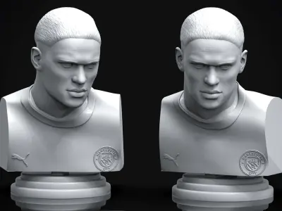 Erling Haaland 3D Printable Bust 3D print model