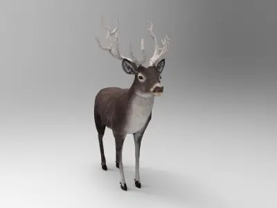 3D deer rigged animated black Low-poly 3D model