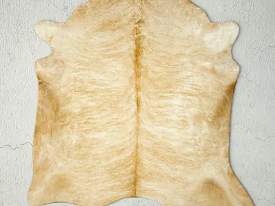 Rugs 5 zebra cowhide rug 3D model