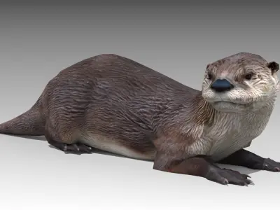 Otter Low-poly 3D model
